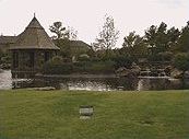 The Lake Doctor - Custom Fountain Custom Waterfall water fountains waterfalls dallas texas