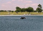 The Lake Doctor - Custom Fountain Custom Waterfall water fountains waterfalls dallas texas