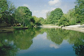 Lake Management Floating Fountains Aeration Irrigation Pump Systems Dallas Fort Worth Texas