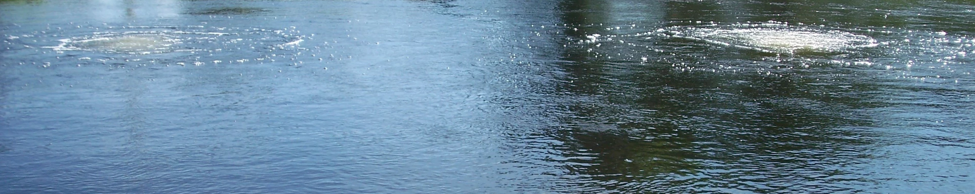 Keaton Industries Aeration Systems
Quiet Line Series Lake Management Floating Fountains Aeration Irrigation Pump Systems Aeration System Dallas Texas