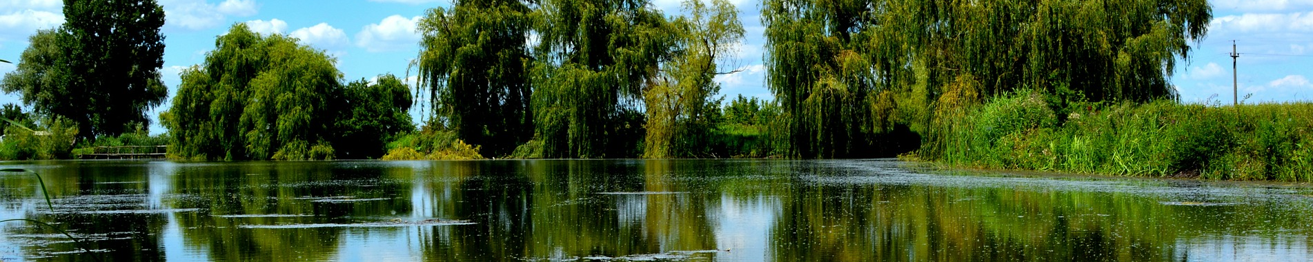 Lake Management Floating Fountains Aeration Irrigation Pump Systems Dallas Fort Worth Texas