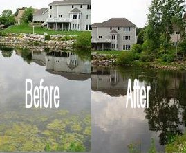 Vegetation Control - Lake Management Floating Fountains Aeration Irrigation Pump Systems Dallas Fort Worth Texas