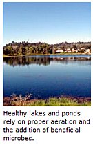 Vegetation Control - Lake Management Floating Fountains Aeration Irrigation Pump Systems Dallas Fort Worth Texas