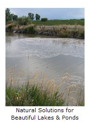 Lake Management Floating Fountains Aeration Irrigation Pump Systems Dallas Fort Worth Texas Aeration Systems in Dallas