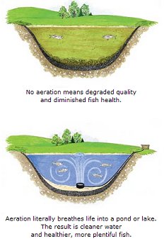 Fish Stocking Dallas Fort Worth - Lake Management Floating Fountains Aeration Irrigation Pump Systems Dallas Fort Worth Texas Aeration Systems in Dallas