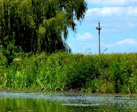 Vegetation Control - Lake Management Floating Fountains Aeration Irrigation Pump Systems Dallas Fort Worth Texas